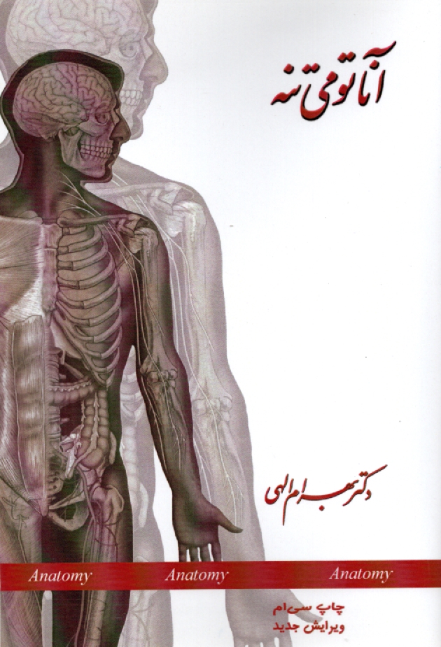پایانه - آناتومی تنه: قفسه سینه (توراکس) Thorax، ابدومن (شکم) Abdomen، لگن (پلویس) Pelvis