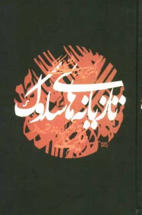 پایانه - تازیانه های سلوک: نقد و تحلیل چند قصیده از حکیم سنایی