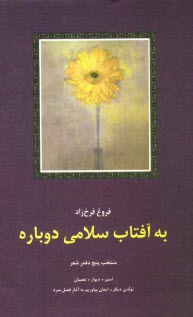 پایانه - به آفتاب سلامی دوباره: منتخب پنج دفتر شعر اسیر، دیوار، عصیان، تولدی دیگر، ایمان بیاوریم به آغاز...