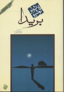 پایانه - بریدا