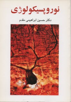 پایانه - نوروپسیکولوژی