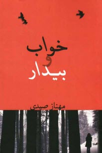 پایانه - خواب و بیدار