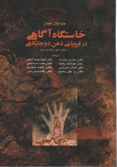 پایانه - خاستگاه آگاهی در فروپاشی ذهن دوجایگاهی (کتاب های یکم، دوم و سوم)