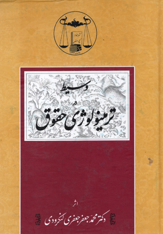 پایانه - وسیط در ترمینولوژی حقوق