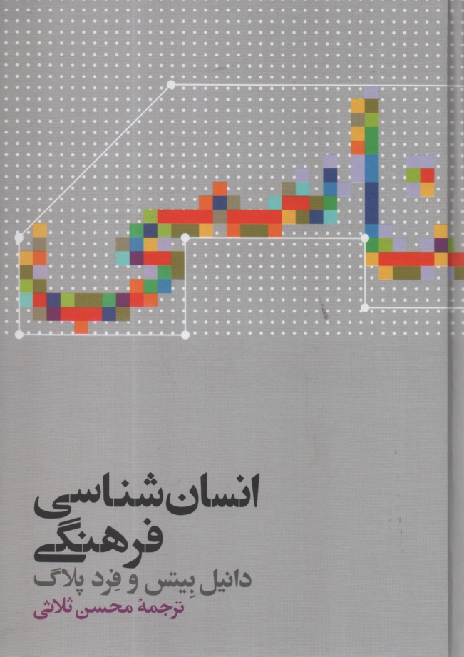 پایانه - انسانشناسی فرهنگی