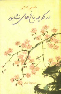 پایانه - در کوچه باغ های نیشابور (مجموعه شعر)