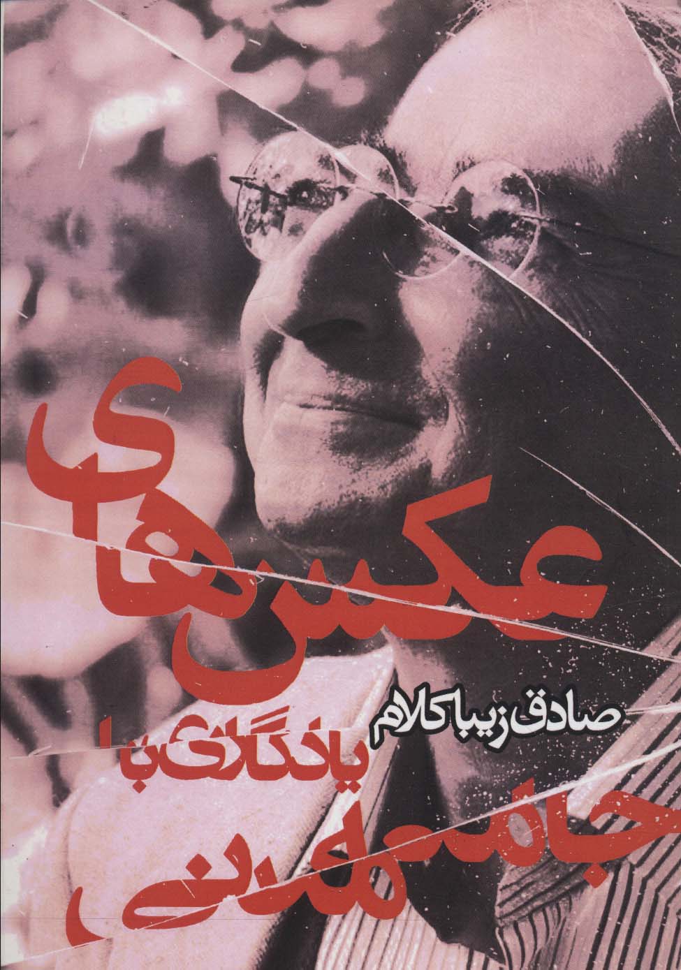 پایانه - عکس های یادگاری با جامعه مدنی (مجموعه مقالات)