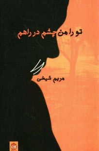 پایانه - تو را من چشم در راهم (مجموعه داستان)