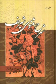 پایانه - شرح مثنوی شریف: جزو سوم از دفتر اول مشتمل بر شرح ابیات از 1913 تا 3012