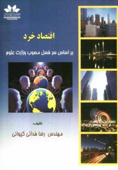 پایانه - اقتصاد خرد