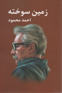 پایانه - زمین سوخته