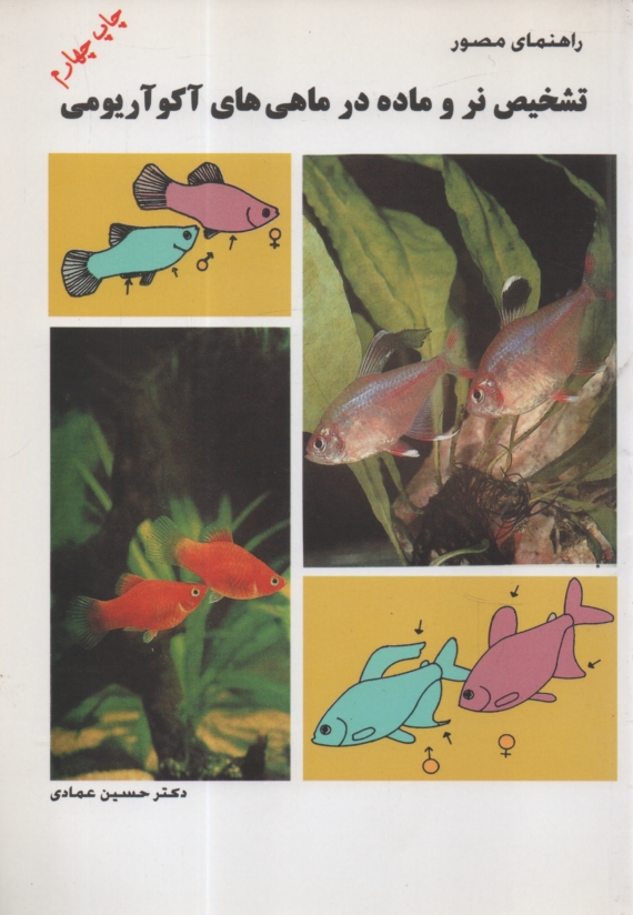 پایانه - راهنمای مصور تشخیص نر و ماده در ماهیهای آکواریومی