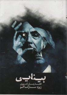 پایانه - بینایی