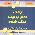 پایانه - چقدر دلم برایت تنگ شده (جملات الهام بخش برای همسران)
