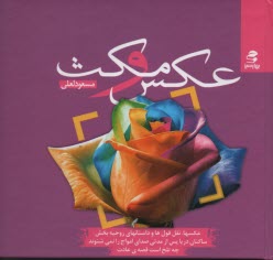 پایانه - عکس و مکث