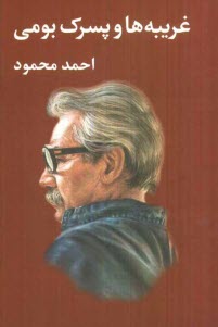 پایانه - غریبه ها و پسرک بومی